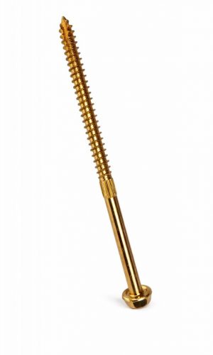 TimberTek Screws T17